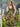 Eucalyptus Fairy dress