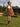 Prairie Baroness dress
