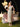 Cygne Nocturne dress