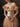 Dream Sovereign dress