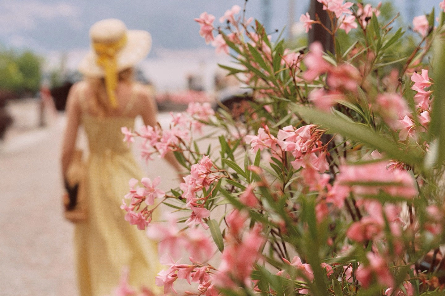 Clemonette Lemonette dress – ÀMonBelAmour